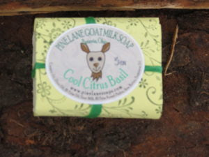 Cool Citrus Basil Goat's Milk Soap